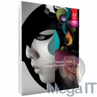 Design Standard CS6 - Licencja Wieczysta (LifeTime) - Windows - Użytkownik Indywidualny - BOX (ESD)