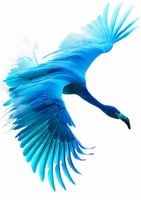 Plakat 29,7x42cm Błękitny Lot