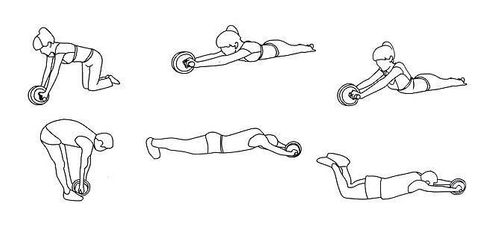 Koło - wałek do ćwiczeń na Arena.pl