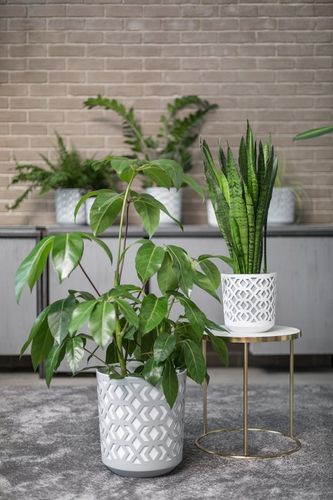 Doniczka AZTEK 14 h15 k-Czarny + w-Złoty Jasny na Arena.pl