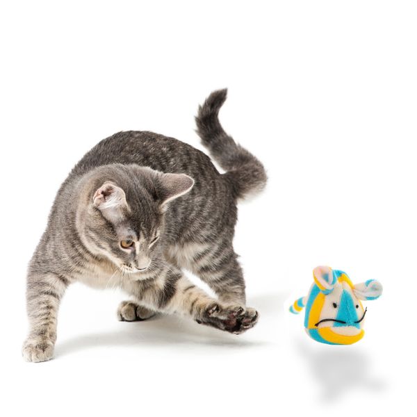 HappyPet Candy Stripe Mice - myszka dla kota zdjęcie 1