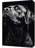 Obraz 40x60cm Portret Zwierząt do Salonu | Labrador | Czarno Białe
