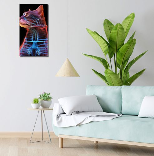 Obraz 30x60cm Anatomia Kota na Arena.pl