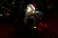 product-compare-61549952