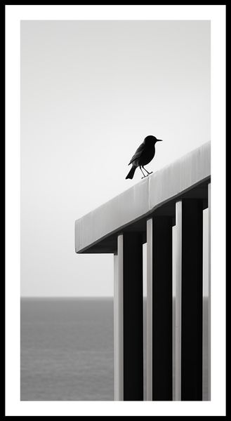 Plakat 50x100cm Samotna Odchłań zdjęcie 3