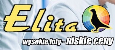 Mentol Septic dla gołębi bakterie jelita Elita 500 na Arena.pl