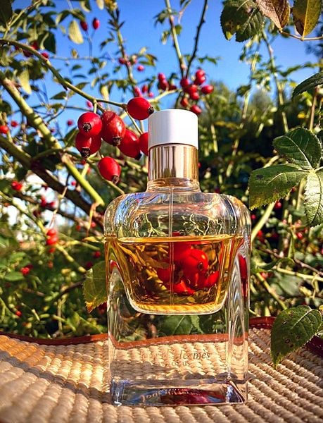 Hermes Jour d'Hermes Absolu Eau de Parfum 85ml zdjęcie 12