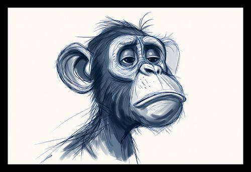 Plakat 30x20cm Zaduma na Arena.pl