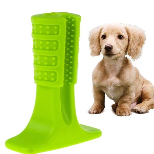 TG63396 GRYZAK DENTYSTYCZNY DLA PSA SZCZOTKA DO ZĘBÓW USUWA KAMIEŃ ZABAWKA na Arena.pl