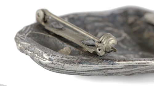 Shih Tzu - klips - 2540 na Arena.pl