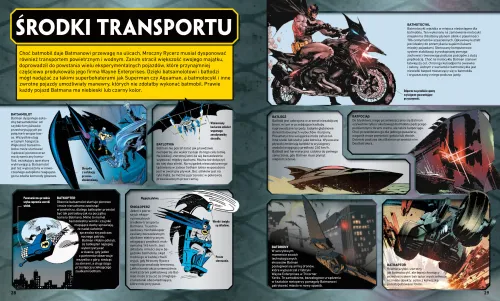 Batman. Kompletny przewodnik na Arena.pl