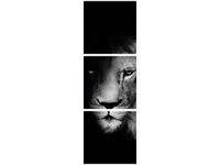 70X50CM OBRAZ DRUK DUCH MROK LEW CIEŃ CZARNO-BIAŁY ŚCIAN