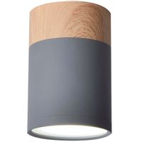 Sufitowa lampa downlight 2284262 metalowa okrągły plafon tuba szara