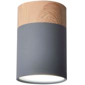 Sufitowa lampa downlight 2284262 metalowa okrągły plafon tuba szara