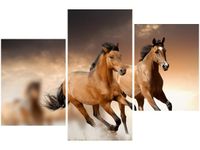 60 90CM OBRAZ 3 ELEM STADO KONI ŚCIENNY DRUK PŁÓTNO