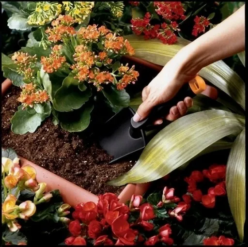 Zestaw Narzędzi Ogrodowych Solid Fiskars zdjęcie 13