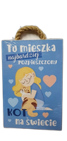 tabliczka/obraz do zawieszenia 10x15 tu mieszka ... kot