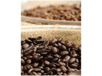 40X50CM OWOCE KAWOWCA PUUIKIBEACH OBRAZ