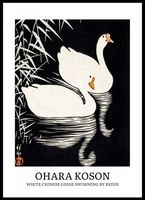 Plakat 50x70cm Design Geese, Koson Vintage do Salonu