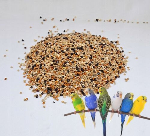PetRa Proso ŚWIATA karma pokarm dla ptaków papug falistych egzotyka 10 na Arena.pl
