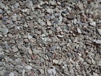 Muszle morskie dla drobiu kur niosek 10 kg mocna skorupka