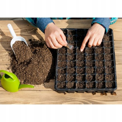 WIELODONICZKA DO WYSIEWU NASION GŁĘBOKA 6 cm TACKA DO ROZSAD 30 DONICZEK na Arena.pl