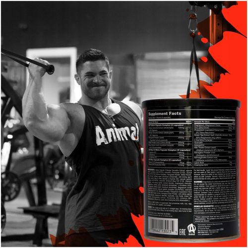 Universal Animal Stak 21pac LEGENDARNY TESTOSTERON na Arena.pl