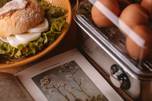 AD 4486 Jajowar na 8 jaj zdjęcie 5