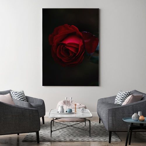 Obraz na płótnie – Canvas, róża na czarnym tle 60x90 na Arena.pl