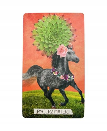 Tarot Tarot Muzy na Arena.pl