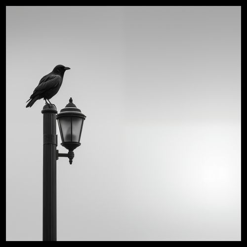 Plakat 60x60cm Samotny Postój Kruka na Arena.pl