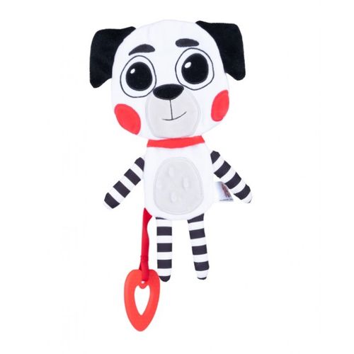 ND35_77580_DUMBB81040 Kontrastowy pies na Arena.pl