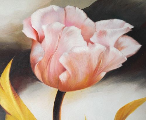 Tulipan (50x60cm) na Arena.pl