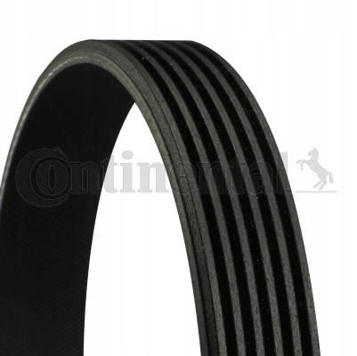 CONTINENTAL PASEK WIELOROWKOWY BMW E46 M52 M54 na Arena.pl