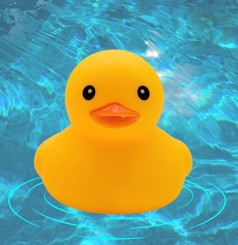 KACZKI Kaczuszki komplet 12 sztuk ŚMIESZNY ZABAWNY PREZENT PISZCZAŁKA na Arena.pl