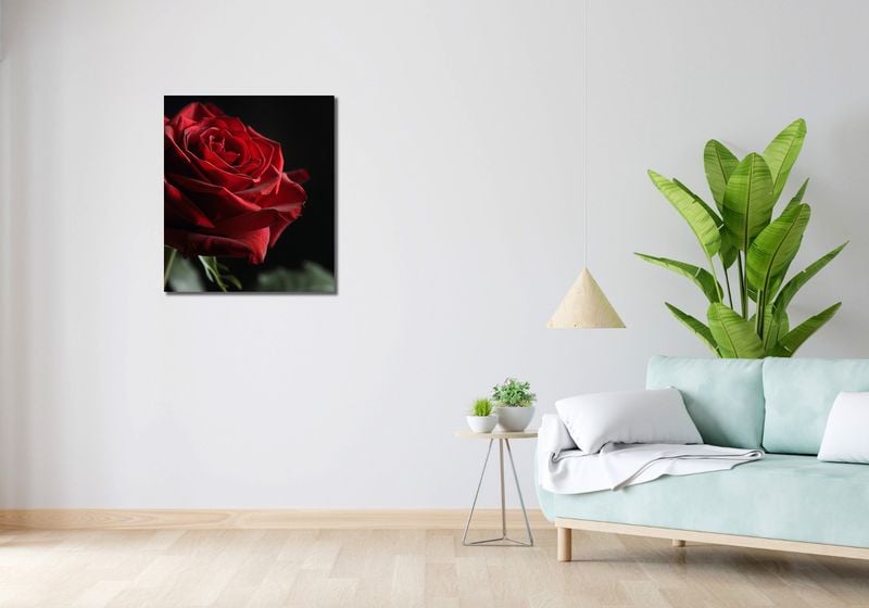 Obraz 60x70cm Róża w Półcieniu zdjęcie 2