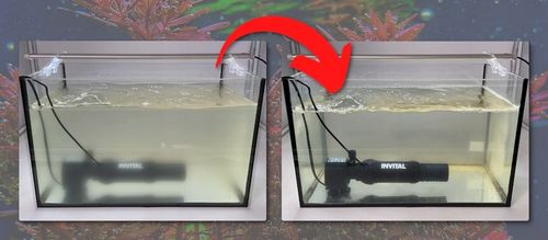 INVITAL Mini lampa UV 5W z pompą na Arena.pl