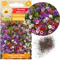 PETUNIA ZWISAJĄCA MIX BALKONOWY 0,3G NASIONA MIESZANKA BALKONOWA PETUNII