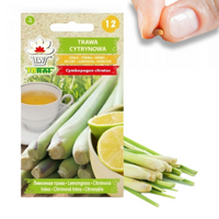 TRAWA CYTRYNOWA NASIONA ZIÓŁ ZIOŁA LEMONGRASS WŁAŚCIWOŚCI ZDROWOTNE 0,