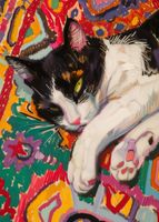 product-compare-59407753