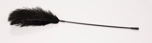 black feather bad kitty na Arena.pl