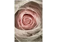 product-compare-58653791