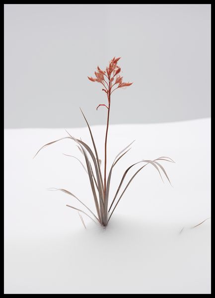 Plakat 50x70cm Subtelność Natury zdjęcie 2