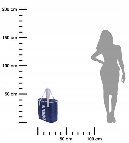 DUŻA TORBA TERMICZNA izolacja Pojemna DO SAMOCHODU na piknik plażę 24l box na Arena.pl