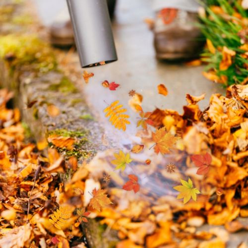 DMUCHAWA ELEKTRYCZNA DO LIŚCI 3500W ODKURZACZ ROZDRABNIACZ 3W1 45L TOP na Arena.pl