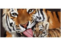 product-compare-58681459