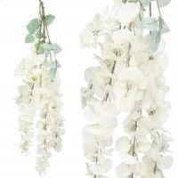 WISTERIA WISZĄCA GLICYNIA GĘSTA ZWIS PNĄCZE XXL 6 pędów 110cm