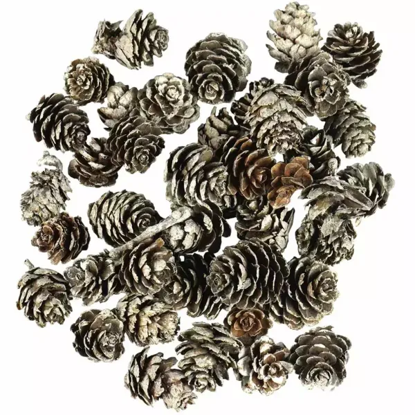 Szyszki Ośnieżone zdjęcie 1