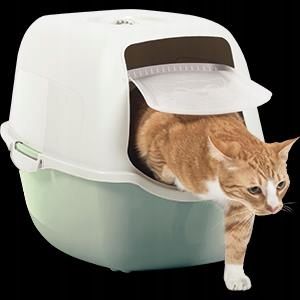 Rotho BAILEY kuweta z filtrem Zielony/Piaskowy na Arena.pl