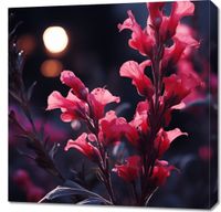 Obraz 70x70cm Wieczorny Blask